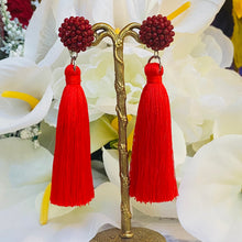 Load image into Gallery viewer, Denver Tassel Post Earrings | FREE Shipping | All Sales Final